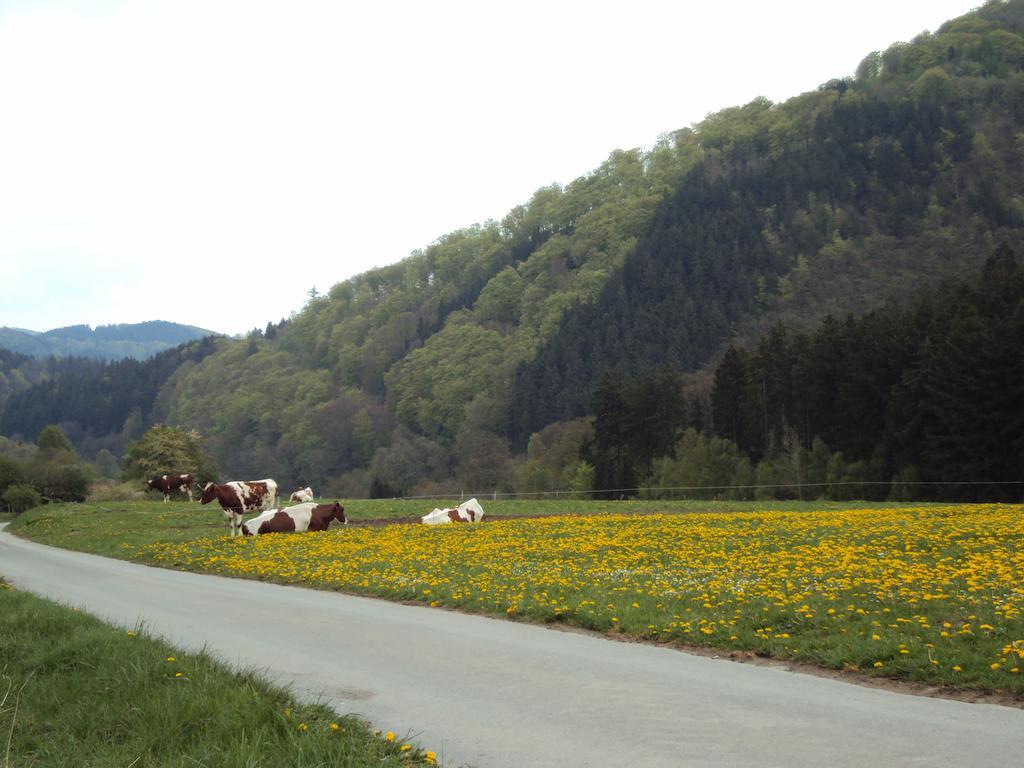 Gasthof Zum Diemeltal Marsberg Exterior foto